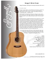 Seagull Guitars S6 Original Slim Specifications preview