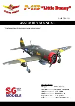 Seagull Models Little Bunnt P-47D Assembly Manual preview