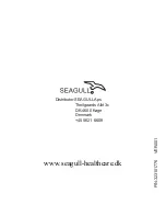 Предварительный просмотр 48 страницы Seagull HL888HA Manual