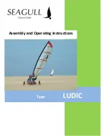 Предварительный просмотр 1 страницы Seagull LUDIC Assembly And Operating Instructions Manual