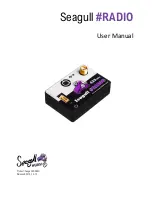 Seagull #RADIO User Manual preview