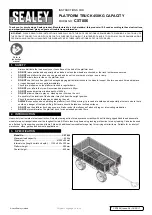 Sealey CST806 Instructions Manual preview