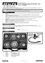 Sealey CV2030 Instructions предпросмотр