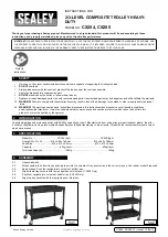 Preview for 1 page of Sealey CX204 Instructions