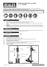 Preview for 1 page of Sealey DCDST Quick Start Manual