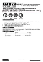 Sealey GSS3030.V2 Instructions Manual предпросмотр