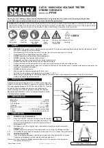 Предварительный просмотр 1 страницы Sealey PPHY Manual