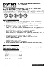 Preview for 1 page of Sealey SA1005 Manual