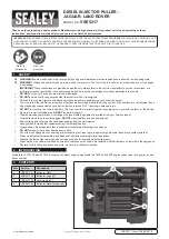 Preview for 1 page of Sealey VSE5217 Manual