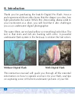 Preview for 4 page of Sealife DIGITAL PRO FLASH Instruction Manual