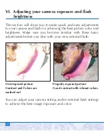 Preview for 22 page of Sealife DIGITAL PRO FLASH Instruction Manual