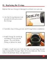 Предварительный просмотр 11 страницы Sealife Sea Dragon 1200 Instruction Manual