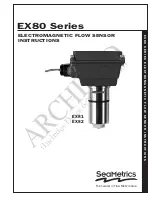 Preview for 1 page of Seametrics EX80 Series Instructions Manual