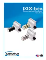 Preview for 1 page of Seametrics EX800 Series Instructions Manual