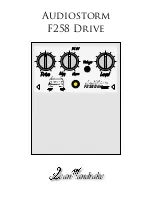 Sean Mandrake Audiostorm F258 Drive Instructions preview