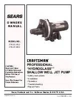 Preview for 1 page of Sears CRAFTSMAN 390.251482 Owner'S Manual