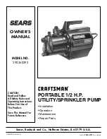 Sears CRAFTSMAN 390.260293 Owner'S Manual preview