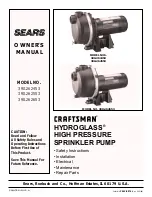 Sears CRAFTSMAN 390.262453 Owner'S Manual preview