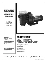 Preview for 1 page of Sears CRAFTSMAN 390.262801 Owner'S Manual