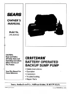 Preview for 1 page of Sears Craftsman 390.306062 Owner'S Manual