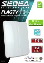 SEDEA FLAG TV HD Manual preview