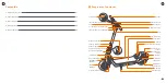 Предварительный просмотр 12 страницы Segway KickScooter Product Manual