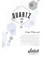 Selah Effects Quartz Timer V2 User Manual preview