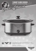 Select Brands Wonder Woman DCW-7 Instruction Manual preview