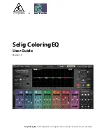 Selig Audio Selig ColoringEQ User Manual предпросмотр