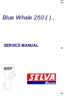 Preview for 1 page of SELVA MARINE Blue Whale 250 EFI Service Manual