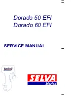 SELVA MARINE Dorado 50 EFI Service Manual preview