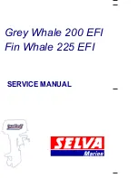 Preview for 1 page of SELVA MARINE Fin Whale 225 EFI Service Manual