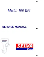 Selva Marlin 100 EFI Service Manual preview