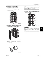 Предварительный просмотр 95 страницы Selva Marlin 100 EFI Service Manual