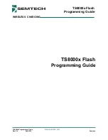 Предварительный просмотр 1 страницы Semtech TS8000 Flash Series Programming Manual