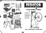 Preview for 1 page of Senator CYCLONE CWS152 Instructions And Safety Manuallines