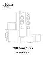 SensaSound C600 Classic Series User Manual предпросмотр