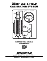 Preview for 1 page of Sensidyne Gilian 800565 Series Instruction Manual