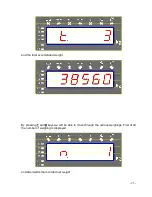 Предварительный просмотр 25 страницы Sensocar SC-A1 Complete User'S Manual