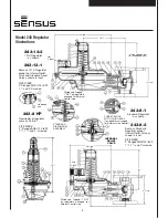 Предварительный просмотр 3 страницы Sensus 243-12-1 Installation And Maintenance Instructions Manual