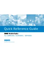 Предварительный просмотр 1 страницы Sepura SBM8000 Quick Reference Manual