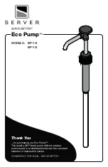 Server Eco Pump BP-1/4 Manual предпросмотр