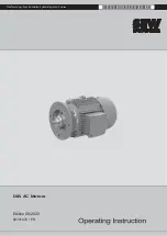 Preview for 1 page of SEW-Eurodrive DIB Series Operating Instruction