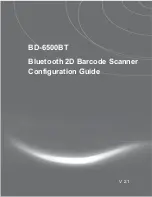 Seypos BD-6500BT Configuration Manual предпросмотр