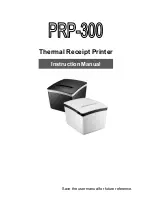 Seypos PRP-300 Instruction Manual предпросмотр