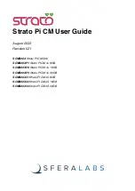 Preview for 1 page of Sferalabs Iono Pi Max 3+ 16GB User Manual