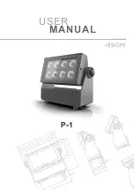 SGM P-1 User Manual preview