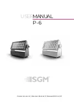 SGM P-6 User Manual предпросмотр