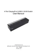 Shenzhen Kinan Technology KVM-1508 Series User Manual preview