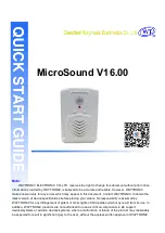 Shenzhen Waytronic Electronics MicroSound V16.00 Quick Start Manual preview